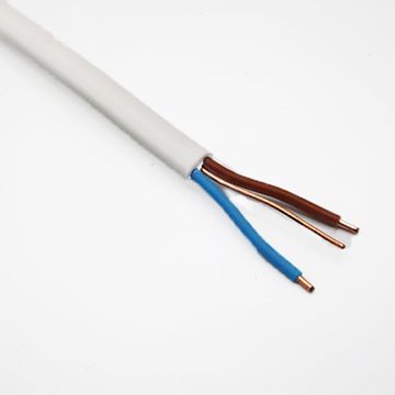 16mm White flat twin + earth cable image 1
