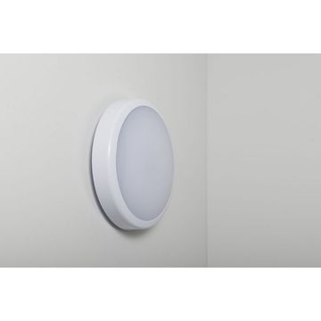 KSR Roma Multi CCT & Wattage Bulkhead Fitting image 4